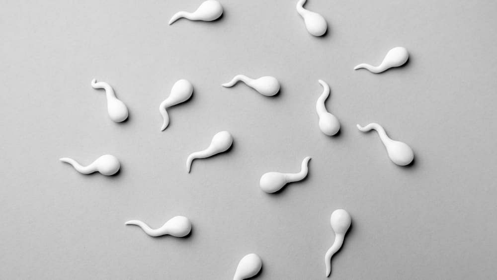 Is it Healthy to Eat Sperm Read All FAQs Bodywise